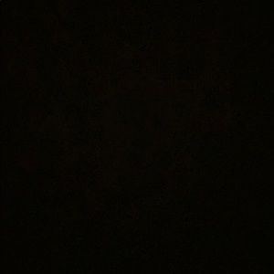 Meet your Posher, Brady